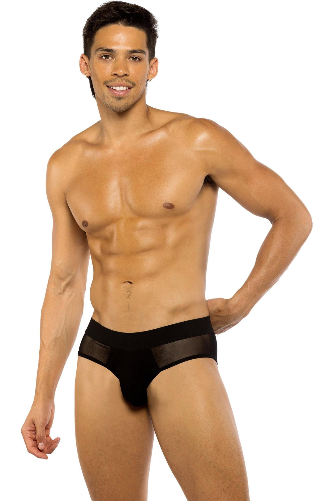 Roma Confidential Sheer Peek A Boo Briefs in Black  from SexyShoes.com