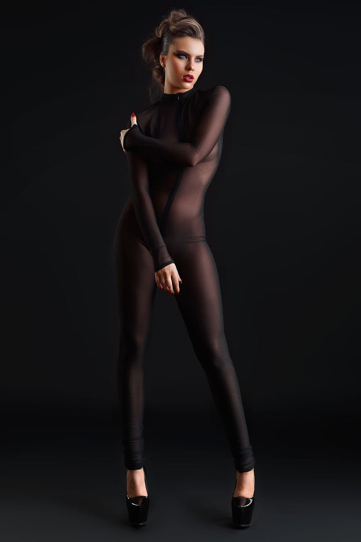 Sweety Fishnet Catsuit-Fetish Catsuits-SEXYSHOES.COM