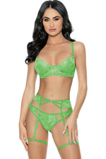 3PC Lace Bra & Garter Set