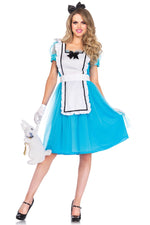 Classic Alice Costume