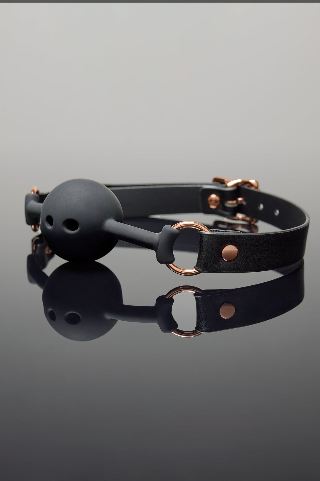 Ball Gag-Fetish Accessories-SEXYSHOES.COM