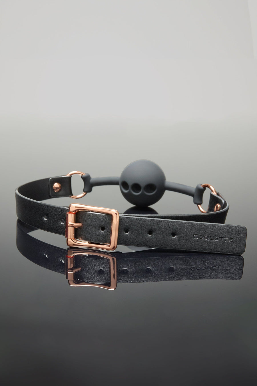 Ball Gag-Fetish Accessories-SEXYSHOES.COM