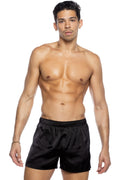 Champion Boxer