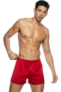 Champion Boxer
