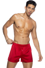 Champion Boxer