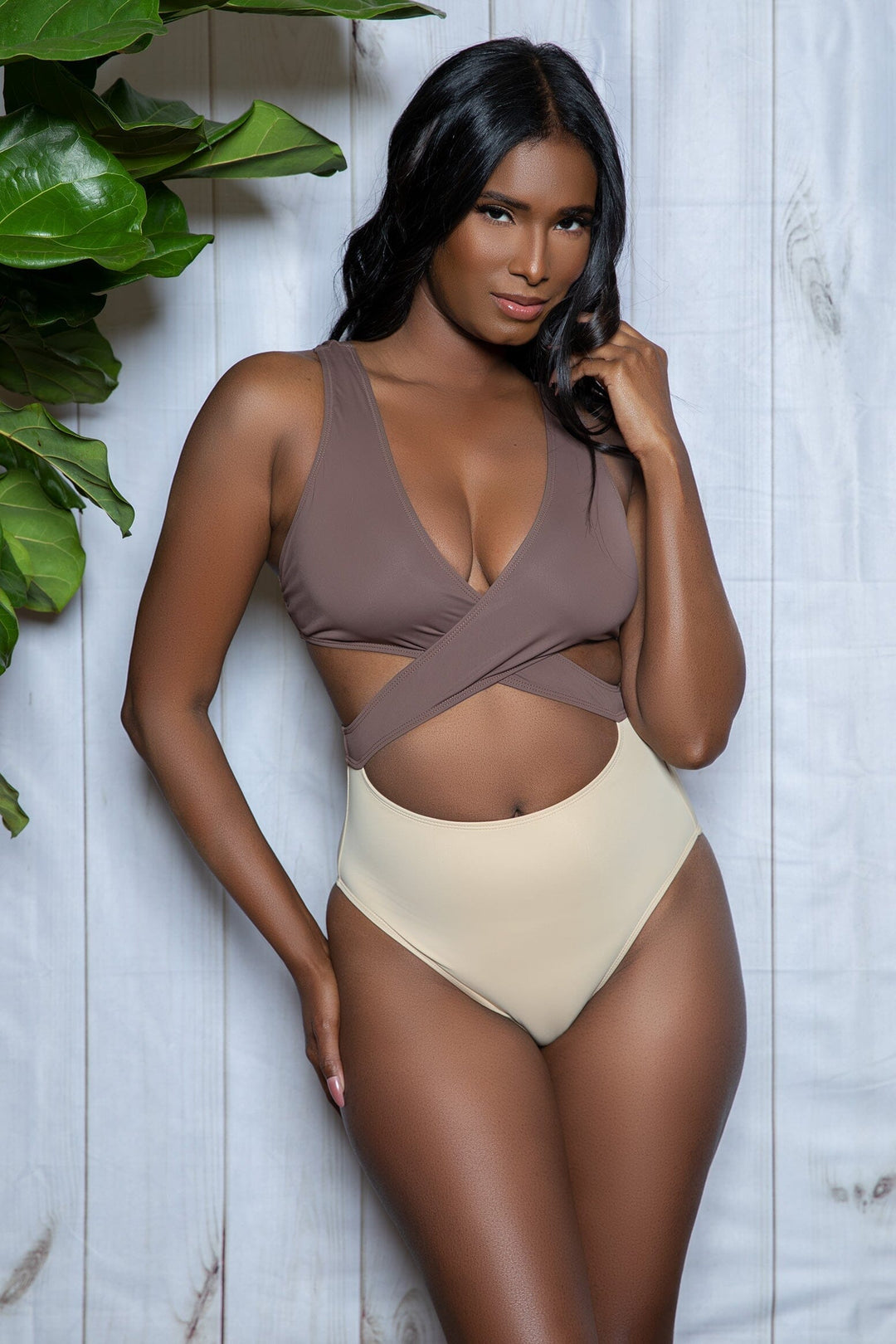 BeWicked Deep Plunge One Piece in Brown  from SexyShoes.com