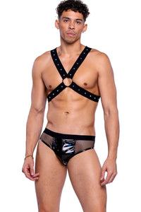 Roma Confidential Elastic Harness in Black  from SexyShoes.com