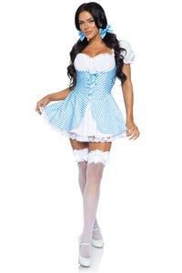 Leg Avenue Gingham Dress in Blue  from SexyShoes.com