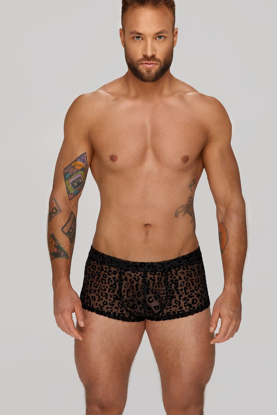 Noir Handmade Leopard Flock Short Shorts in Black  from SexyShoes.com