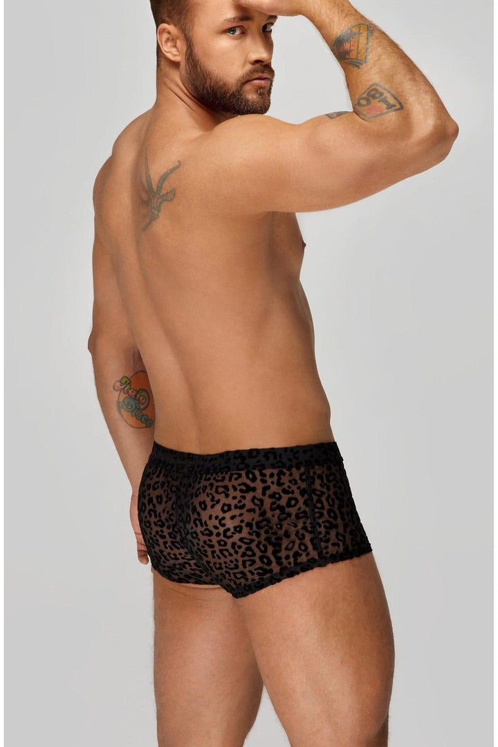 Leopard Flock Short-Shorts