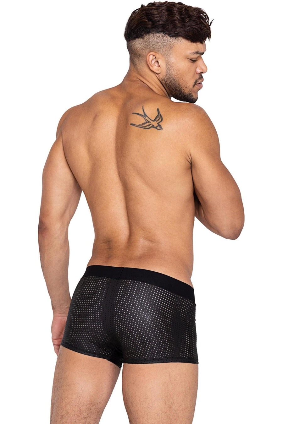 Roma Confidential Master Trunks in Black 