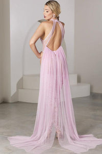 Allure Lingerie Private Dancer Teddy with Skirt Set in Pink 