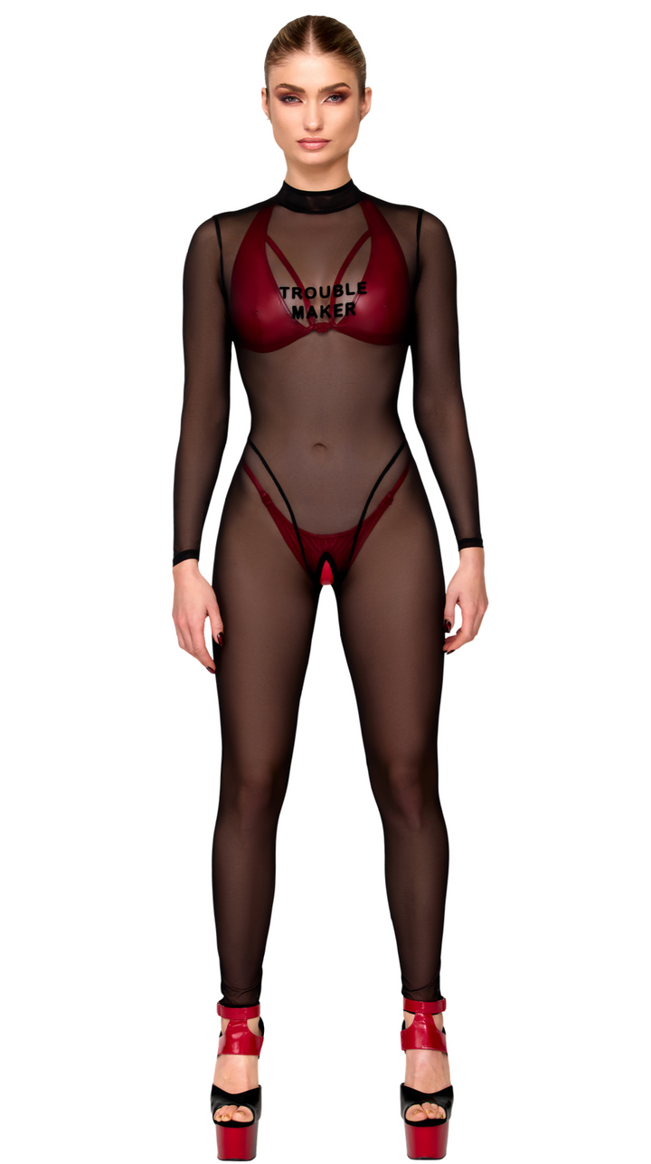 Troublemaker Mesh Catsuit