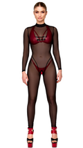 Troublemaker Mesh Catsuit