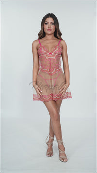 Embroidered Sheer Mesh Babydoll