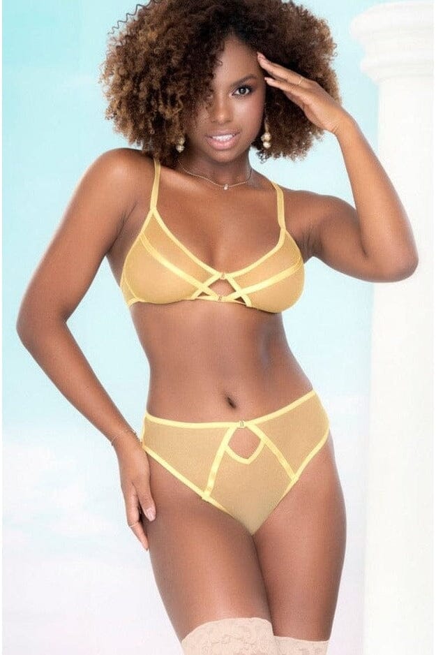 2 Piece Mesh Bra And Garter Set-Lingerie Sets-Mapale-Yellow-S/M-SEXYSHOES.COM