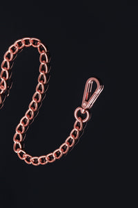 Metal Chain Leash-Leashes + Crops-SEXYSHOES.COM