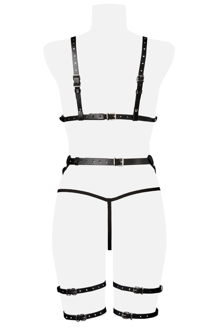 3 Piece Caged Bra and High Waist Garter Set-Body Harness-Grey Velvet-SEXYSHOES.COM