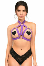 Dark Purple Stretchy Body Harness W/Gold Hardware