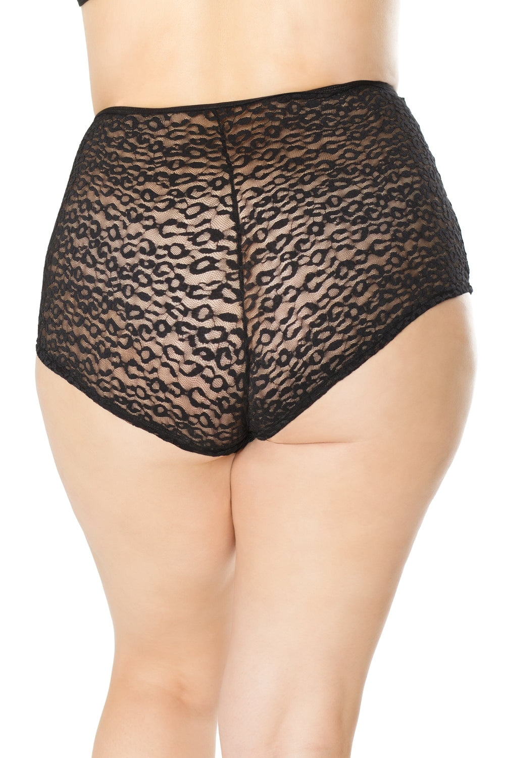 High Waisted Leopard Print Booty Short | Plus Size-Booty Shorts-Coquette-Black-Q-SEXYSHOES.COM