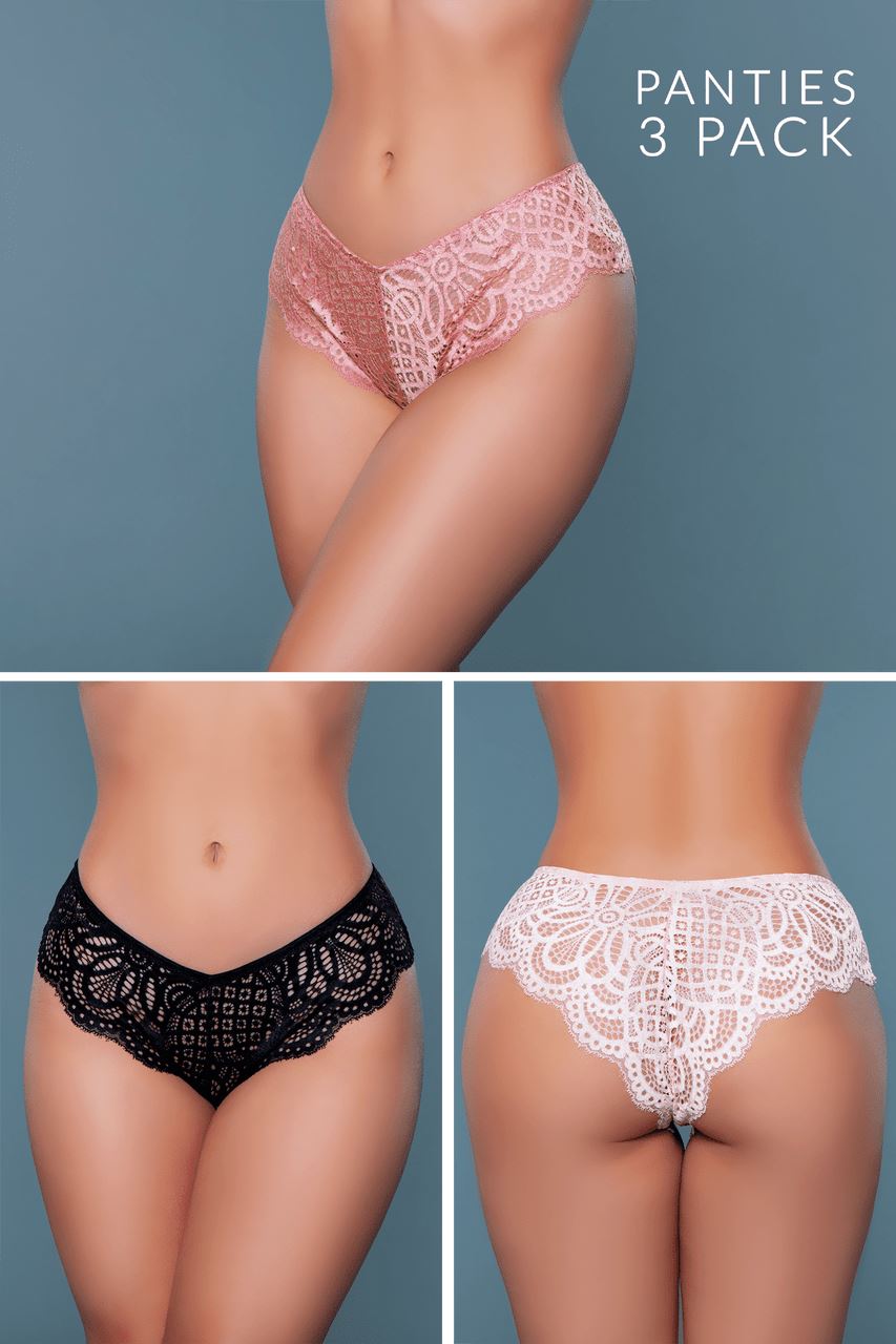 BeWicked Mid Rise Panties With Delicate Lace Detail in Multi  from SexyShoes.com