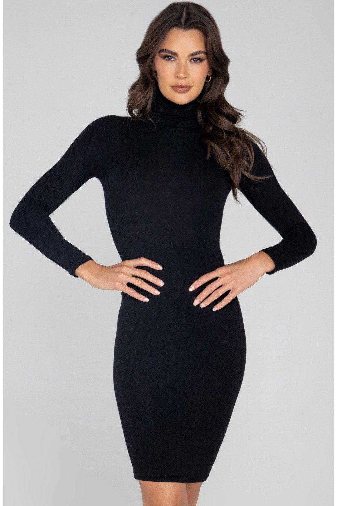 Classic Turtle Neck Midi Dress-Club Dresses-Roma Confidential-Black-L-SEXYSHOES.COM